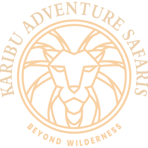 karibu Adventure Safaris